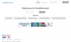 Site.scaledomain.com thumbnail