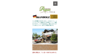 Skanholz.jp thumbnail