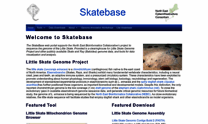 Skatebase.org thumbnail
