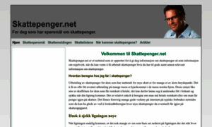 Skattepenger.net thumbnail