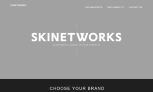 Skinetworks.com thumbnail