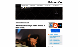 Skinner.fm thumbnail