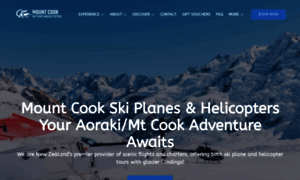 Skiplanes.co.nz thumbnail