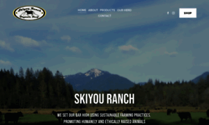 Skiyouranch.com thumbnail