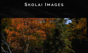 Skolaiimages.com thumbnail