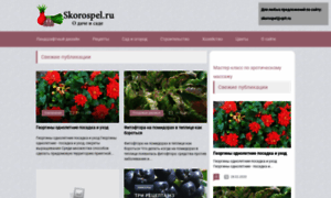 Skorospel.ru thumbnail