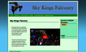 Skykingsfalconry.com thumbnail