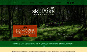 Skylarksforestschool.co.uk thumbnail