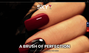 Skynailsdallas.com thumbnail