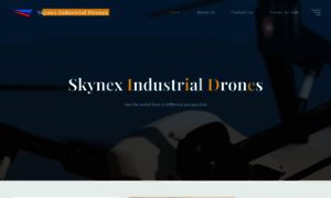 Skynexindustrialdrones.com thumbnail