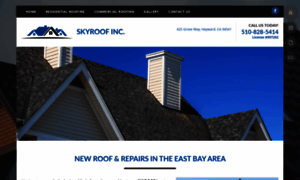 Skyroofcompany.com thumbnail