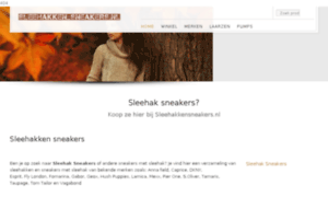 Sleehakkensneakers.nl thumbnail