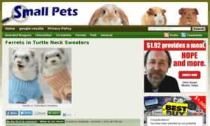 Small-pets.info thumbnail