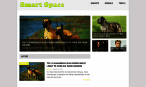 Smartsspace.com thumbnail