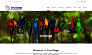 Smartsteps.fr thumbnail