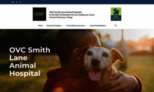 Smithlanehospital.com thumbnail