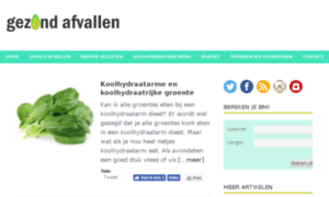 Snel-afvallen.org thumbnail