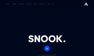 Snook.digital thumbnail