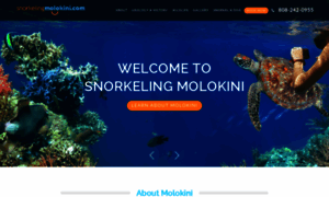 Snorkelingmolokini.com thumbnail