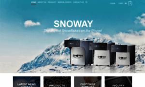 Snoway.co.kr thumbnail