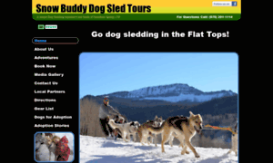 Snowbuddydogsledtours.com thumbnail