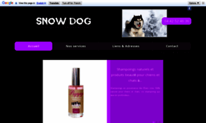 Snowdog.fr thumbnail