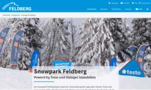 Snowpark-feldberg.de thumbnail