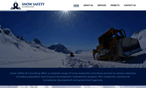 Snowsafetyandconsulting.com thumbnail