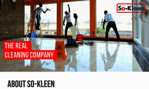 So-kleen.com.ng thumbnail