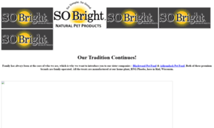 Sobrightllc.com thumbnail