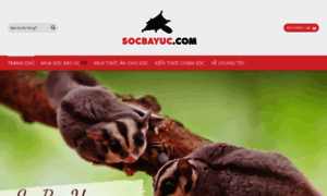 Socbayuc.com thumbnail