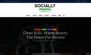 Sociallyconsciousbrands.com thumbnail