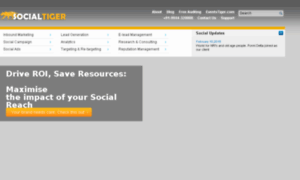 Socialtiger.in thumbnail