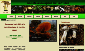 Societe-mycologique-du-haut-rhin.org thumbnail