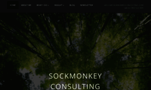 Sockmonkeyconsulting.com thumbnail