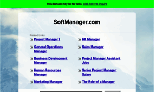 Softmanager.com thumbnail