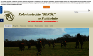 Sokolswidwin.pl thumbnail