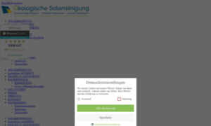 Solarreinigung.com thumbnail