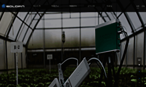 Soldan.co.kr thumbnail