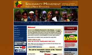 Solidaritymovement.org thumbnail