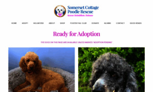 Somersetcottagepoodlerescue.com thumbnail