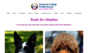 Somersetcottagepoodlerescue.org thumbnail