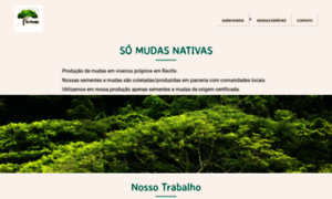 Somudasnativas.com.br thumbnail