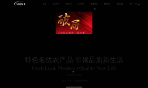 Soole.com.cn thumbnail