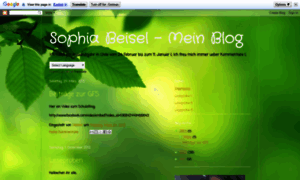 Sophiabeisel-meinblog.blogspot.com thumbnail