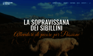 Sopravissanadeisibillini.it thumbnail