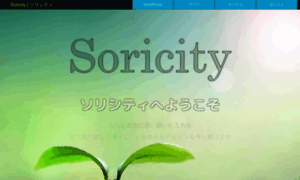 Soricity.com thumbnail