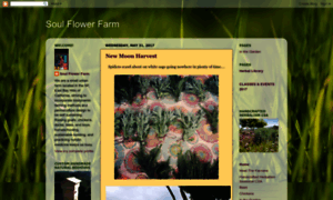 Soulflowerfarm.blogspot.com thumbnail