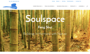 Soulspace.info thumbnail