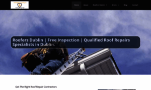 South-dublin-roof-repairs.onepagebusinesswebsites.com thumbnail